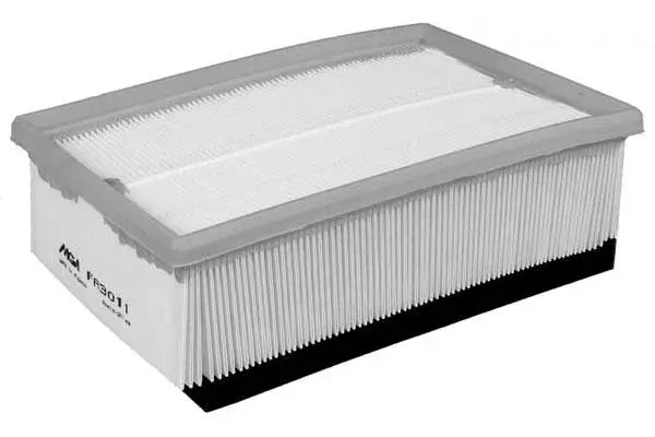 Air Filter (FA3011)