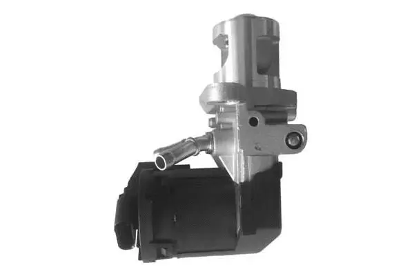 EGR Valve (VA7019)