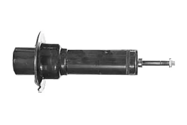 Shock Absorber (AM5783)