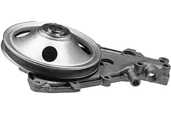Water Pump, engine cooling (W550)