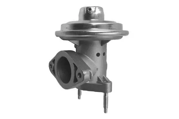 EGR Valve (VA7108)