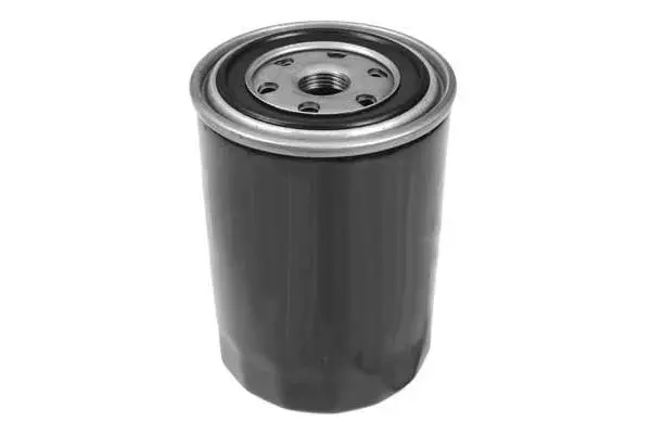 Oil Filter (FH1066)