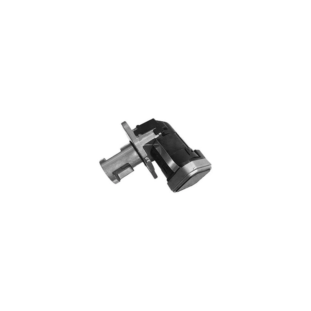 EGR Valve (VA7202)