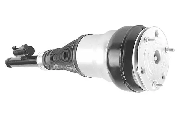 Air Suspension Strut (AMP3015)