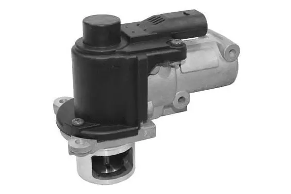 EGR Valve (VA7017)