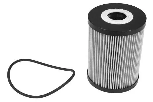 Oil Filter (FH1073)