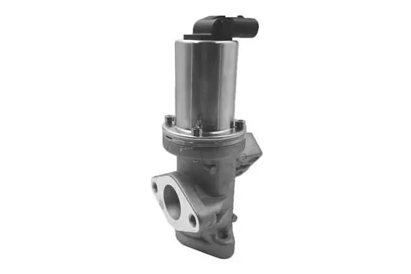 EGR Valve (VA7169)