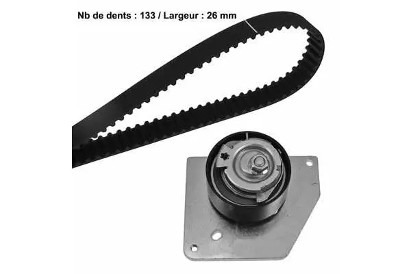 Timing Belt Kit (X594H2)