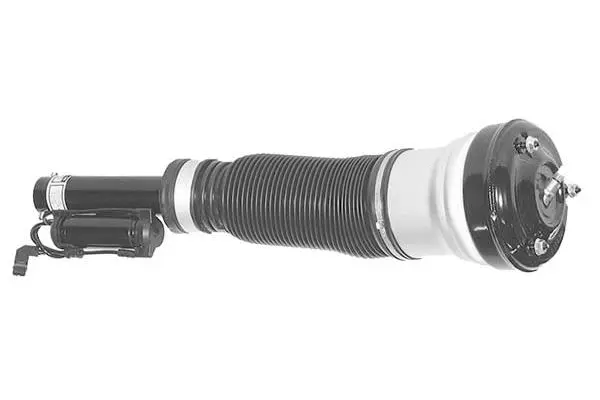 Air Suspension Strut (AMP1008)