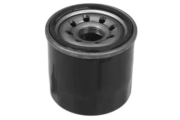 Oil Filter (FH1055)