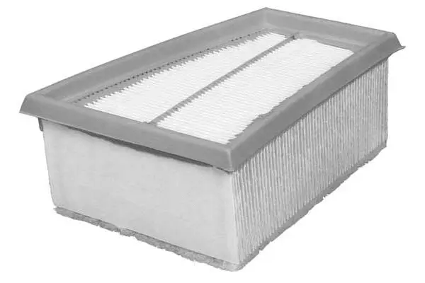 Air Filter (FA3034)