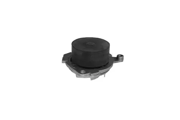 Water Pump, engine cooling (W621)