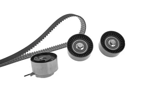 Timing Belt Kit (X518H1)