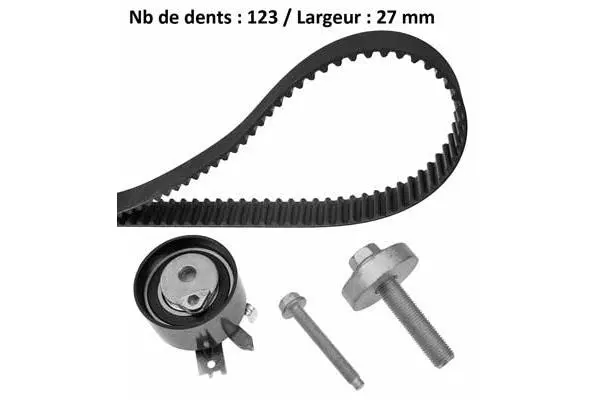 Timing Belt Kit (X545H9)