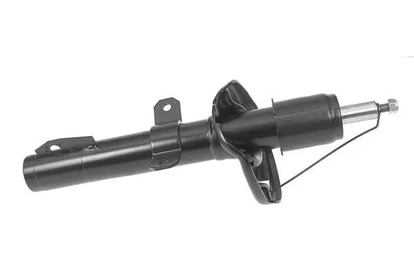 Shock Absorber (AM5893)