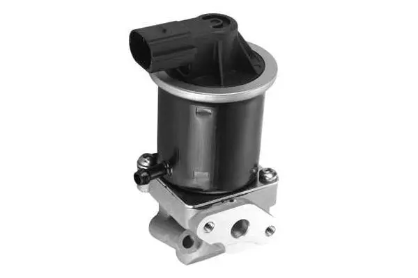 EGR Valve (VA7116)