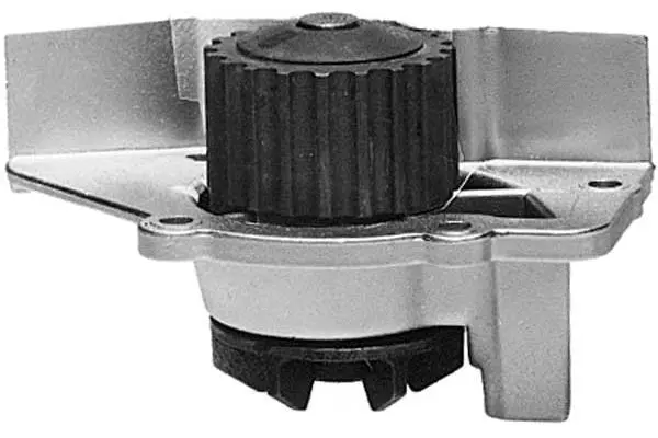 Water Pump, engine cooling (W348)