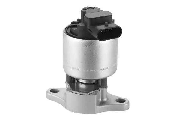 EGR Valve (VA7167)