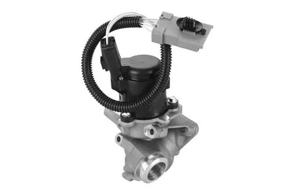 EGR Valve (VA7077)