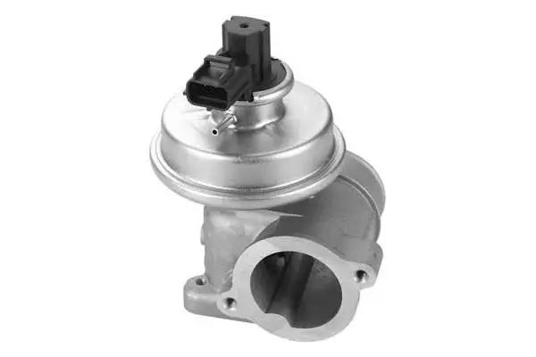 EGR Valve (VA7078)