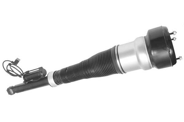 Air Suspension Strut (AMP3013)