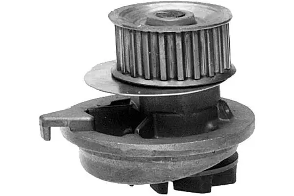 Water Pump, engine cooling (W324)