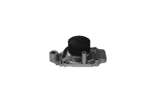 Water Pump, engine cooling (W428)