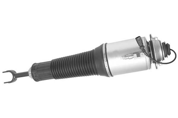 Air Suspension Strut (AMP3002)