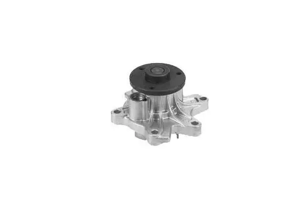 Water Pump, engine cooling (W864)