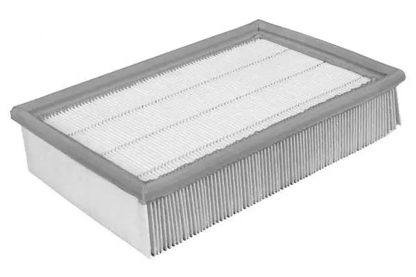 Air Filter (FA3093)