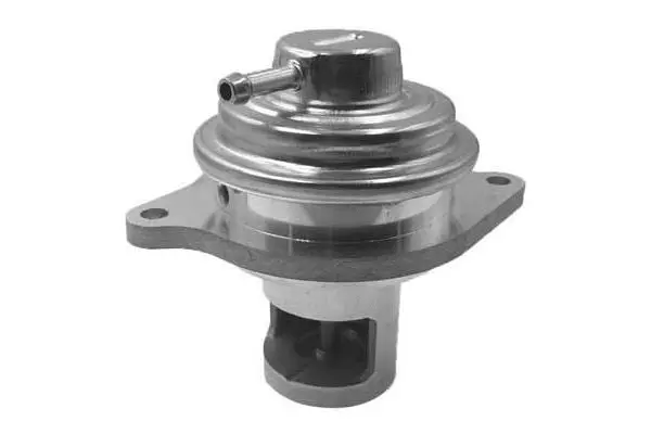EGR Valve (VA7036)