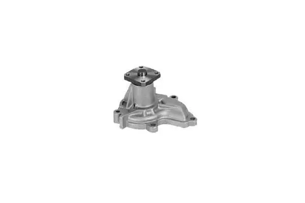 Water Pump, engine cooling (W703)