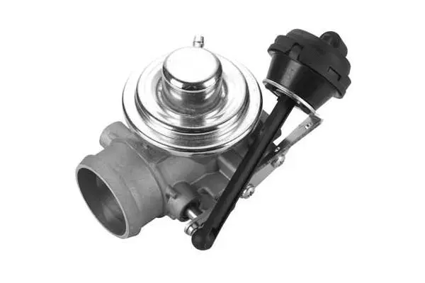 EGR Valve (VA7161)