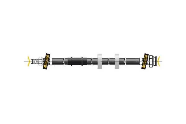 Brake Hose (F5972)