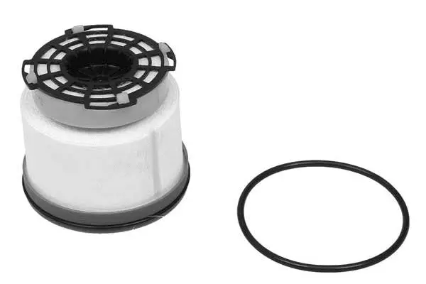Fuel Filter (FG2174)