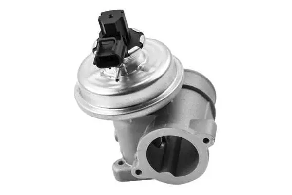 EGR Valve (VA7099)