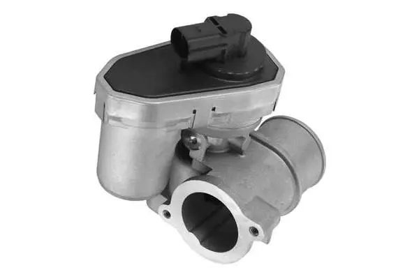 EGR Valve (VA7123)