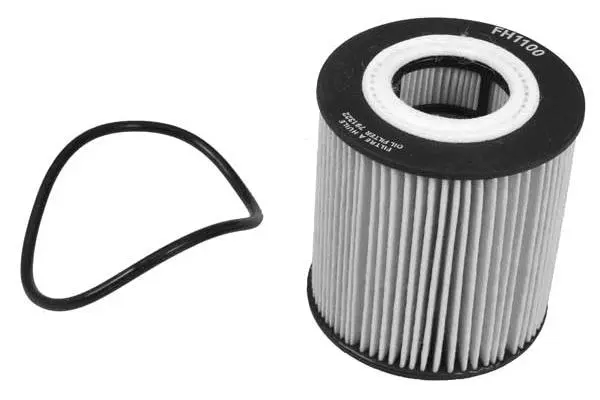 Oil Filter (FH1100)