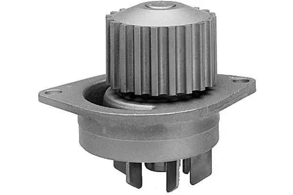 Water Pump, engine cooling (W491)