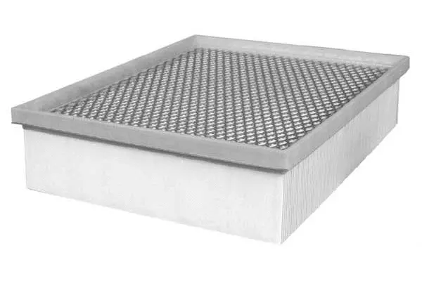 Air Filter (FA3165)