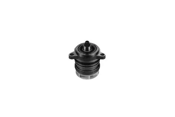 Water Pump, engine cooling (W982)