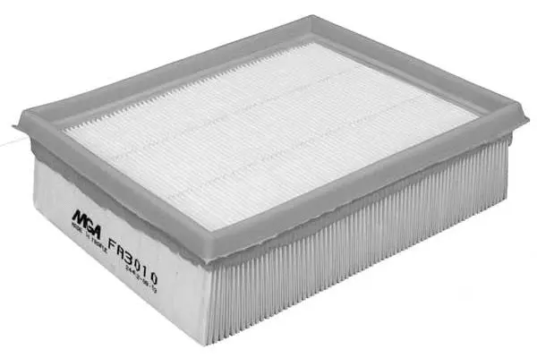 Air Filter (FA3010)
