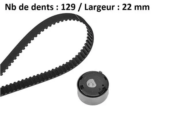 Timing Belt Kit