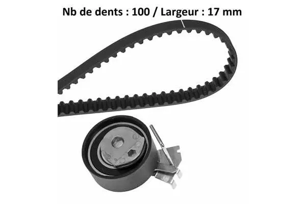 Timing Belt Kit (X573H1)