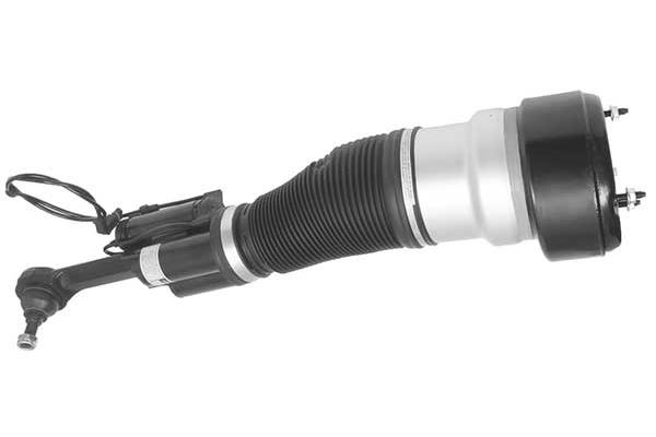 Air Suspension Strut (AMP3014)