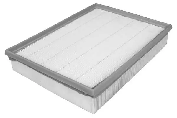 Air Filter (FA3163)