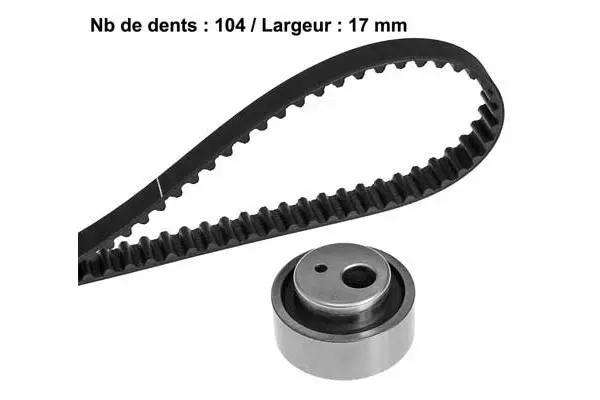 Timing Belt Kit (X077H1)
