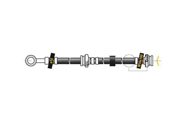 Brake Hose (F5575)
