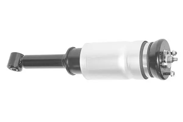 Air Suspension Strut (AMP1004)