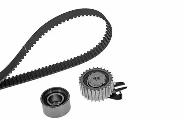 Timing Belt Kit (X463H1)